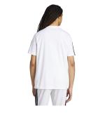  T-shirt maglia maglietta UOMO Adidas Bianco Script Single Jersey Cotone 