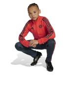  Bayern Monaco Adidas Tuta intera completa Tracksuit ragazzi Ragazzo Rosso 